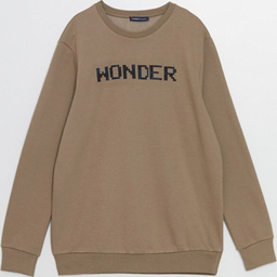 پلیور مردانه ال سی وایکیکی مدل Holger