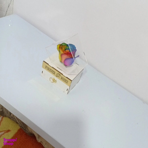 گل خشک رز جاودان کد 504