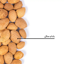 بادام سنگی بارجیل
