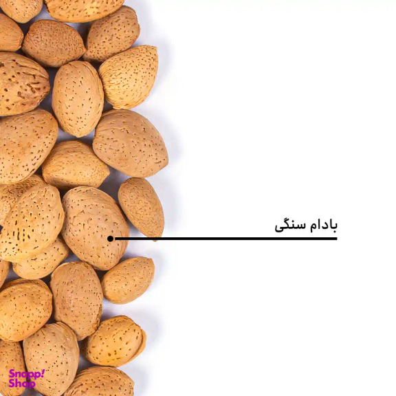 بادام سنگی بارجیل