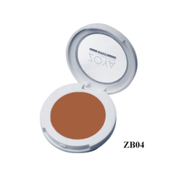 رژگونه مخملی زویا کد ZB04
