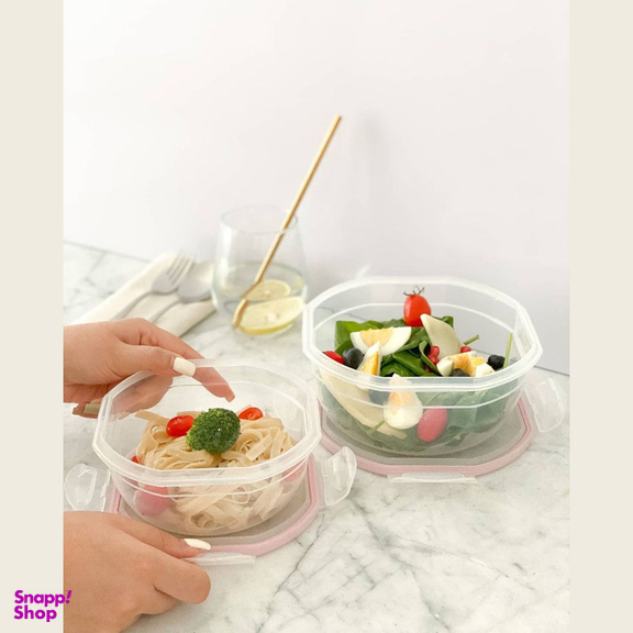 ظرف نگهدارنده ویرو پلاستیک کد 305