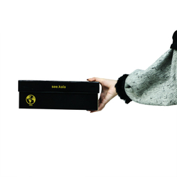 کفش زنانه سیی 1966 مدل پاپیونی کد 2238.1