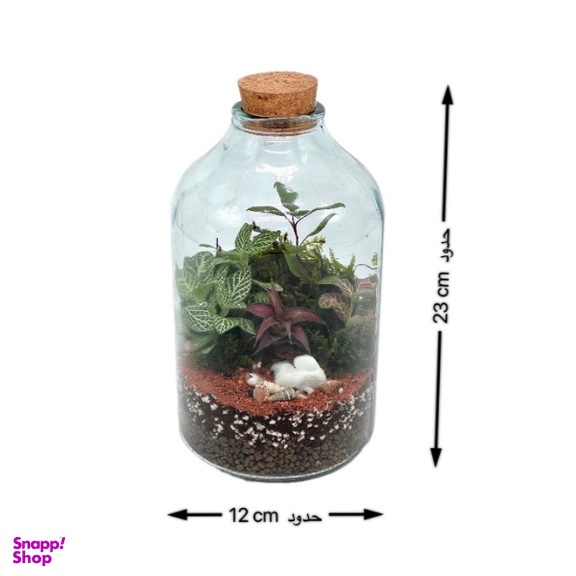 تراریوم مدل آمازون سایز بزرگ