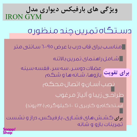 بارفیکس دیواری مدل IRON GYM