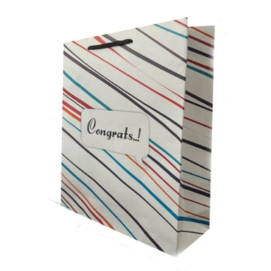 ساک هدیه مدل مورب