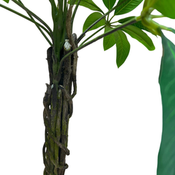 درختچه مصنوعی پاچیرا کد 5716