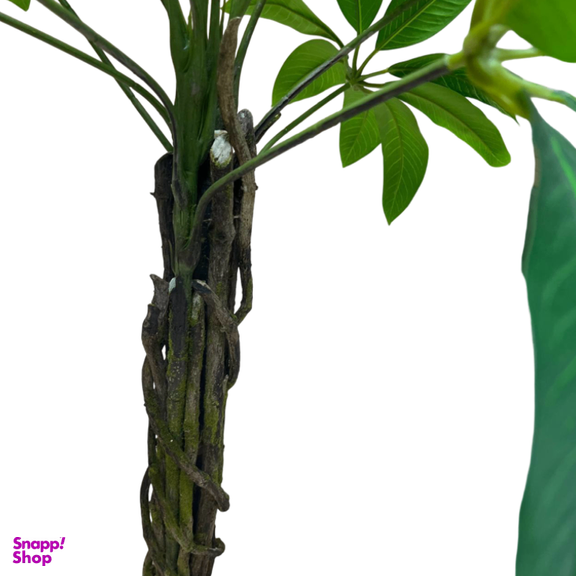 درختچه مصنوعی پاچیرا کد 5716