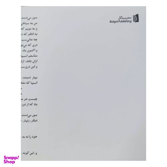 کتاب القصه اثر بیژن الهی انتشارات بیدگل