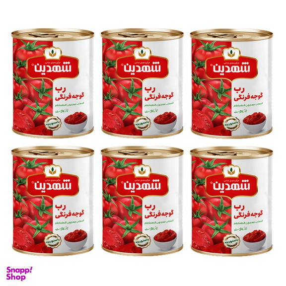 کنسرو رب گوجه فرنگی شهدین وزن 800 گرم بسته 6 عددی