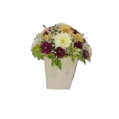 باکس گل طبیعی داوودی کد 113