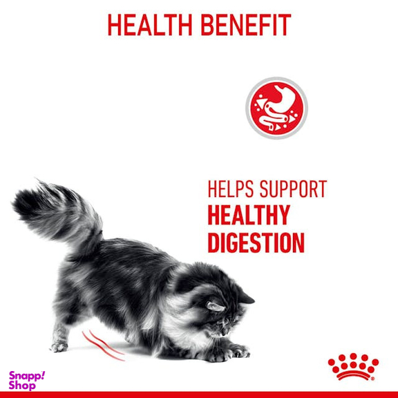 غذای خشک گربه رویال کنین مدل Digestive Care وزن 2 کیلوگرم