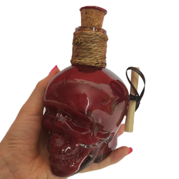 دکوری مدل SKELE gro Harry Potter Potion
