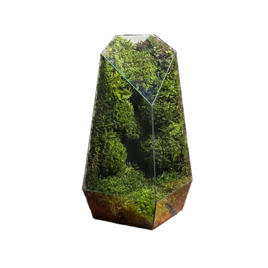 تراریوم خزه مدل طبیعت کد 009