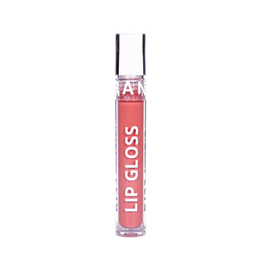 رژ لب مایع مدل Lip Gloss کد 6