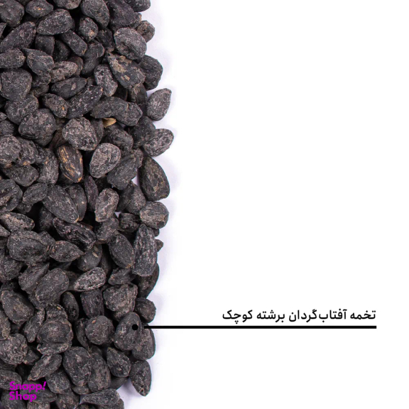تخمه آفتابگردان برشته کوچک بارجیل