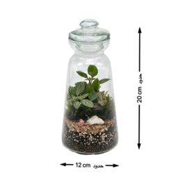 تراریوم مدل فانوس