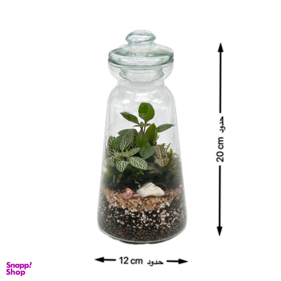 تراریوم مدل فانوس