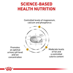 غذای خشک گربه رویال کنین مدل urinary s/o وزن 3.5 کیلوگرم