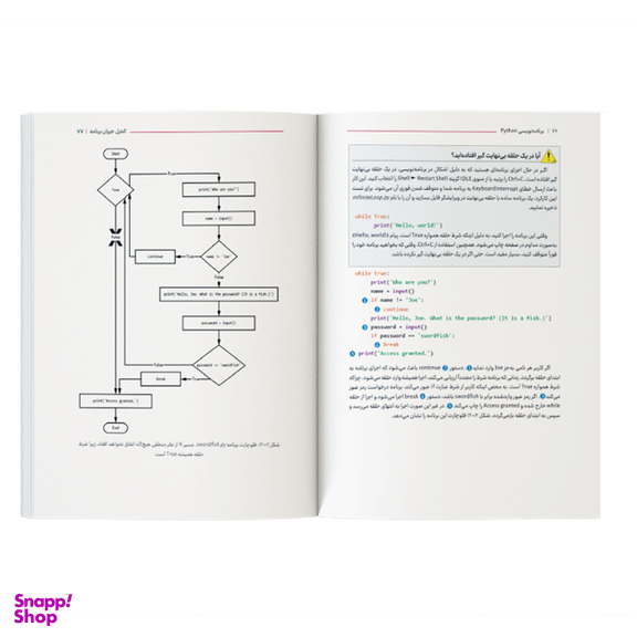 کتاب اتوماتیک کردن کارهای خستهکننده با Python اثر Al Sweigart نشر کیان