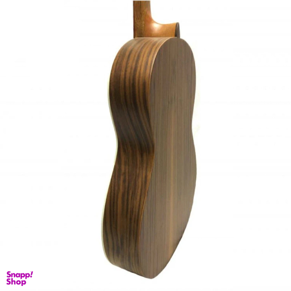 گیتار پارسی مدل M6