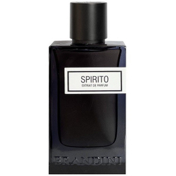 ادکلن مردانه برندینی مدل SPIRITO حجم 90 میلی‌ لیتر