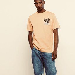 تیشرت آستین کوتاه مردانه ال سی وایکیکی مدل پشت دراگون