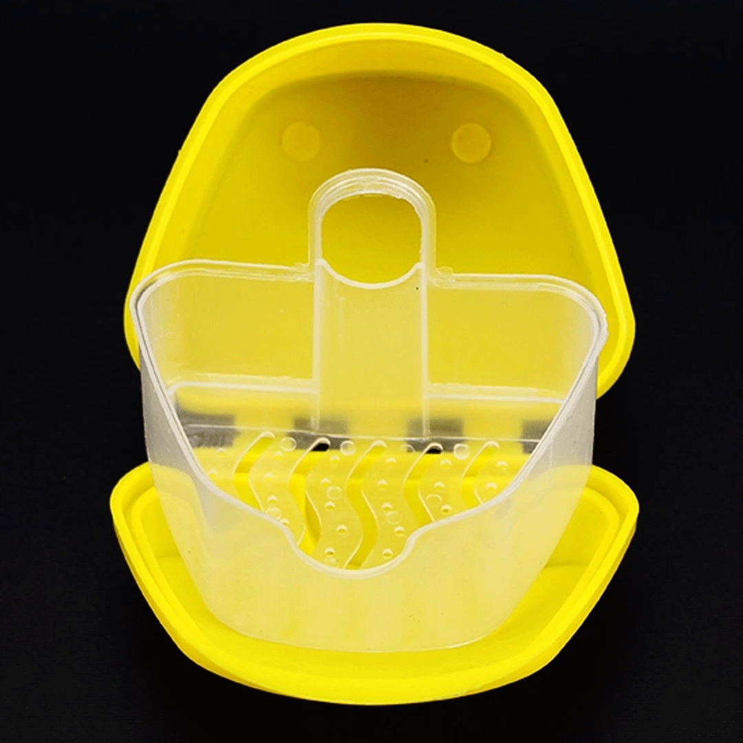 محفظه نگهداری دندان مصنوعی دکتر مید مدل DentureBox رنگ زرد