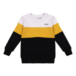 سویشرت پسرانه مادر مدل فلیپ کد 61