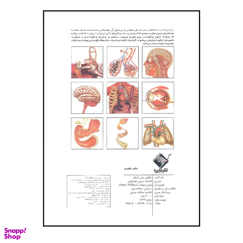 کتاب شگفتی های بدن انسان اثر جاناتان میلر انتشارات جابیرو