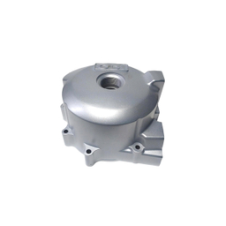 درب بغل برق موتور مدل CGL استارتی