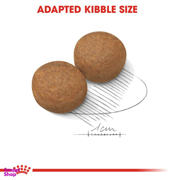 غذای سگ رویال کنین مدل Maxi Adult وزن 15 کیلوگرم