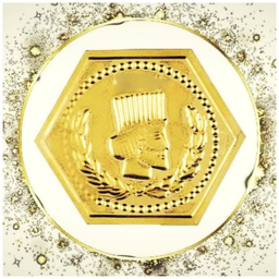 سکه گرمی 18 عیار زردیس مدل پارسیان کد z100