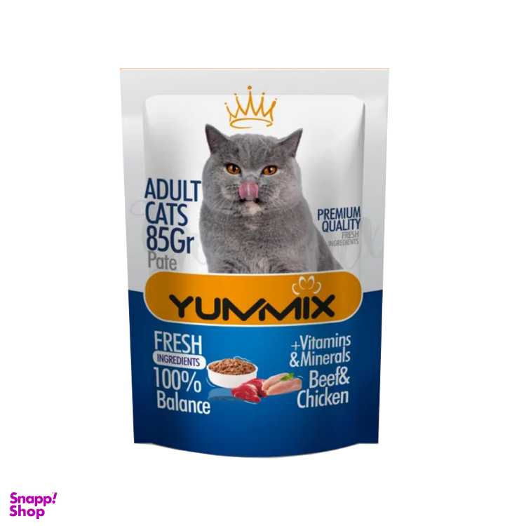 پوچ گربه یامیکس مدل پته مرغ و گوشت وزن 85 گرم
