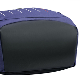 کوله پشتی دلسی مدل SECUR BAN کد 3334603