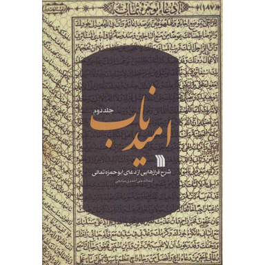 کتاب امید ناب اثر علی احمدی میانجی انتشارات سروش جلد دوم