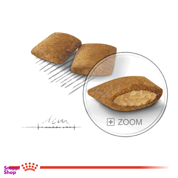 غذا خشک سگ رویال کنین مدل Mini Exigent وزن 3 کیلوگرم