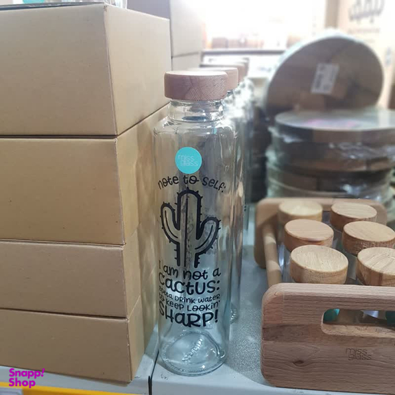 بطری میس گلس مدل ایوان کاکتوس کد DH93