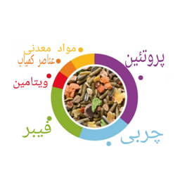 غذای آجیلی خرگوش دیاکو وزن 850 گرم