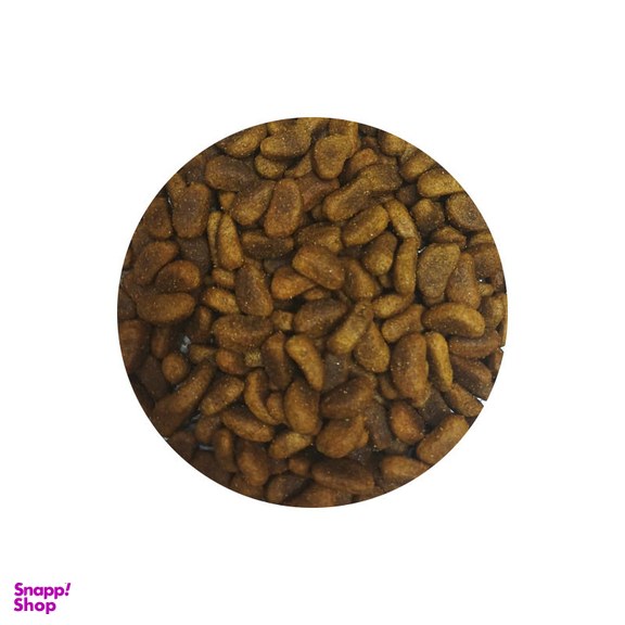 غذای خشک سگ شهرپت پت مدل Reflex Beef And Rice وزن 1 کیلوگرم