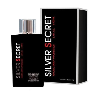 ادوپرفیوم مردانه رودیر مدل Silver Secret