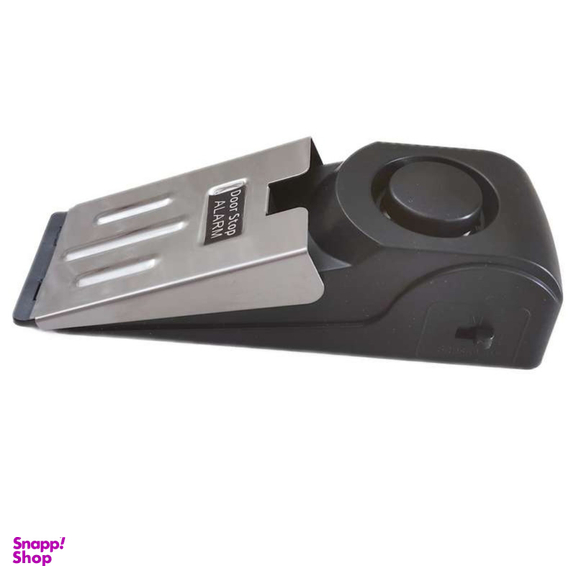 دزدگیر اماکن مدل پادری