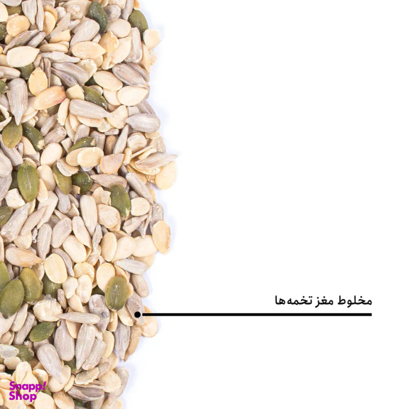 مخلوط مغز تخمه بارجیل