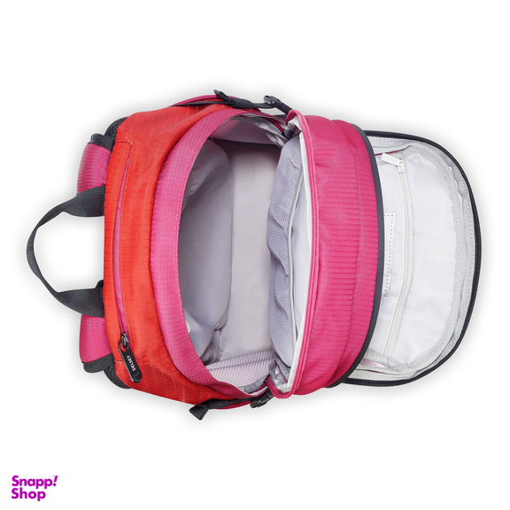 کوله پشتی ورزشی دلسی مدل NOMADE کد 3335611