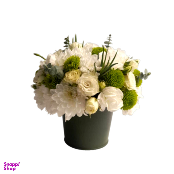 باکس گل طبیعی داوودی نارگل کد 0225