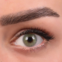 لنز رنگی سالیانه هرا شماره 6 کد SCA210 رنگ سبز طوسی روشن