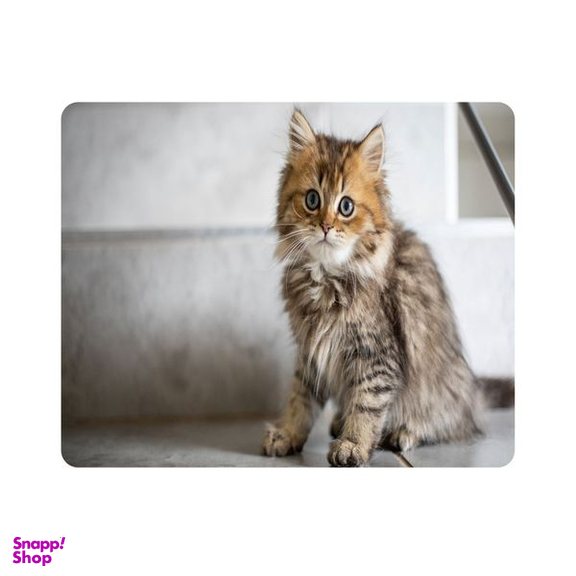 ماوس پد اطلس آبی طرح گربه مدل T7954