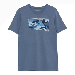 تیشرت مردانه ال سی وایکیکی مدل torkk84