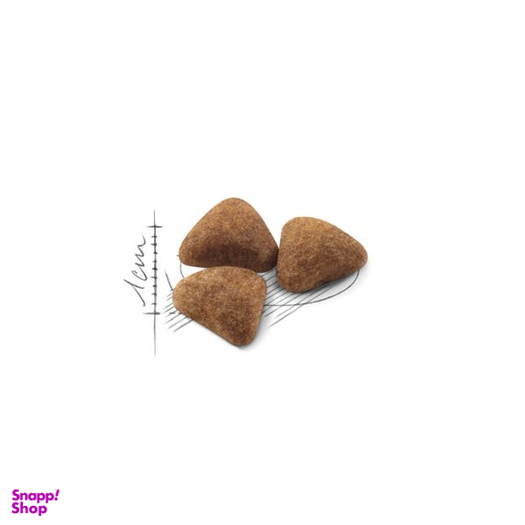 غذای خشک گربه رویال کنین مدل Indoor وزن 2 کیلوگرم