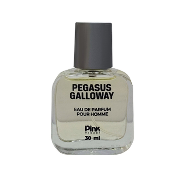 عطر جیبی مردانه پینک ویژوال مدل Pegasus Galloway حجم 30 میلی لیتر